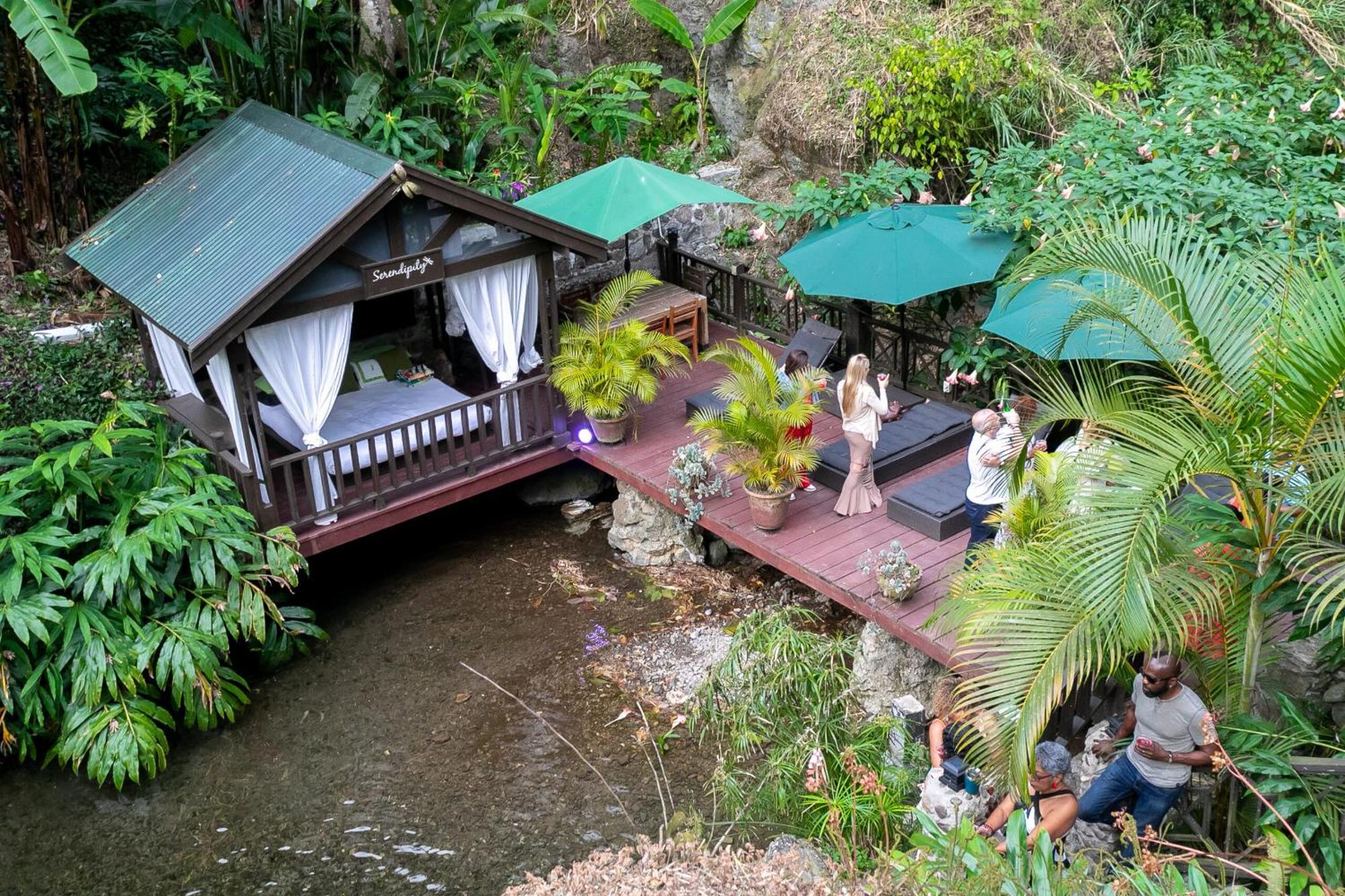 Serendipity Holistic Resort Spa Kingston Exterior photo